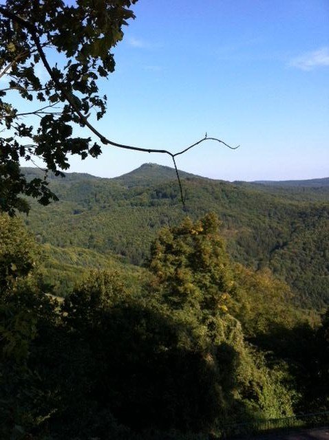 Meine letzten Sommertage (schon mit Jacke, aber schön) 2 drachenfels