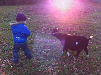 Vorschlag zum Stadt-Land-Kompromiss 3 foto 12