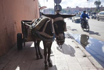 Schönen Sonntag! Hier kommt Caros (erstes) Marokko-Wochenende (ohne Baby) in Bildern 2 mg 3894