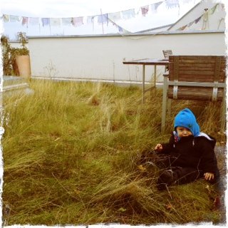 mein hipstaprint 948357061 8