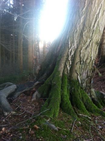 Erster Sonnenstrahl 2013! Ein Mutter-Tochter-Spaziergang in Bildern... 6 6 0