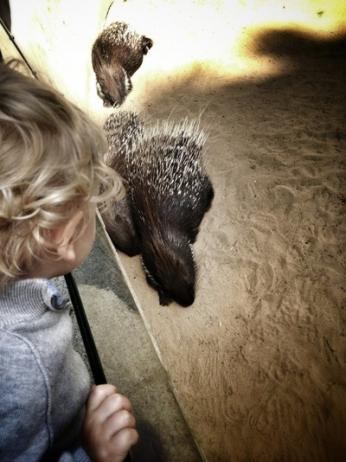 tumblr mq8abbz6yz1sbwiclo1 400