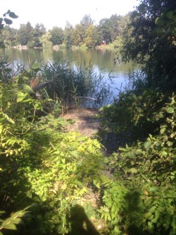 Nach den vielen Nachfragen: So sind wir an unser Wochenendhäuschen gekommen! 3 foto 2 4