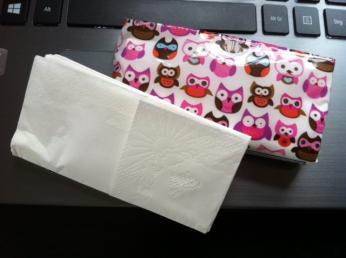 Räumungsklage! Nach einer Woche Ferienlager in Lisas Kopf muss jetzt auch mal Schluss sein mit Erkältung! 2 tatu