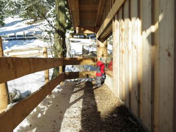 11116126646 4fab31ec11 c