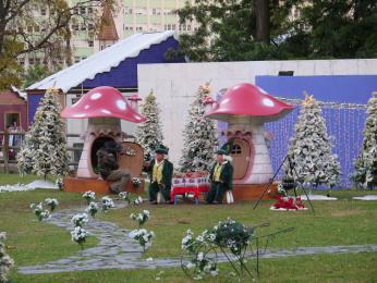 11479156994 384ed4cb8f b