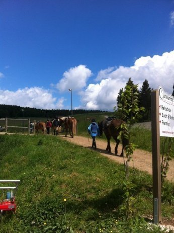 Der Montags-Blues: Den haben auch schon Kinder. Unser Wochenende auf dem Ponyhof war einfach zu schön 6 ponyhof1