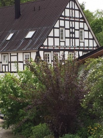 Der Montags-Blues: Den haben auch schon Kinder. Unser Wochenende auf dem Ponyhof war einfach zu schön 3 ponyhof4