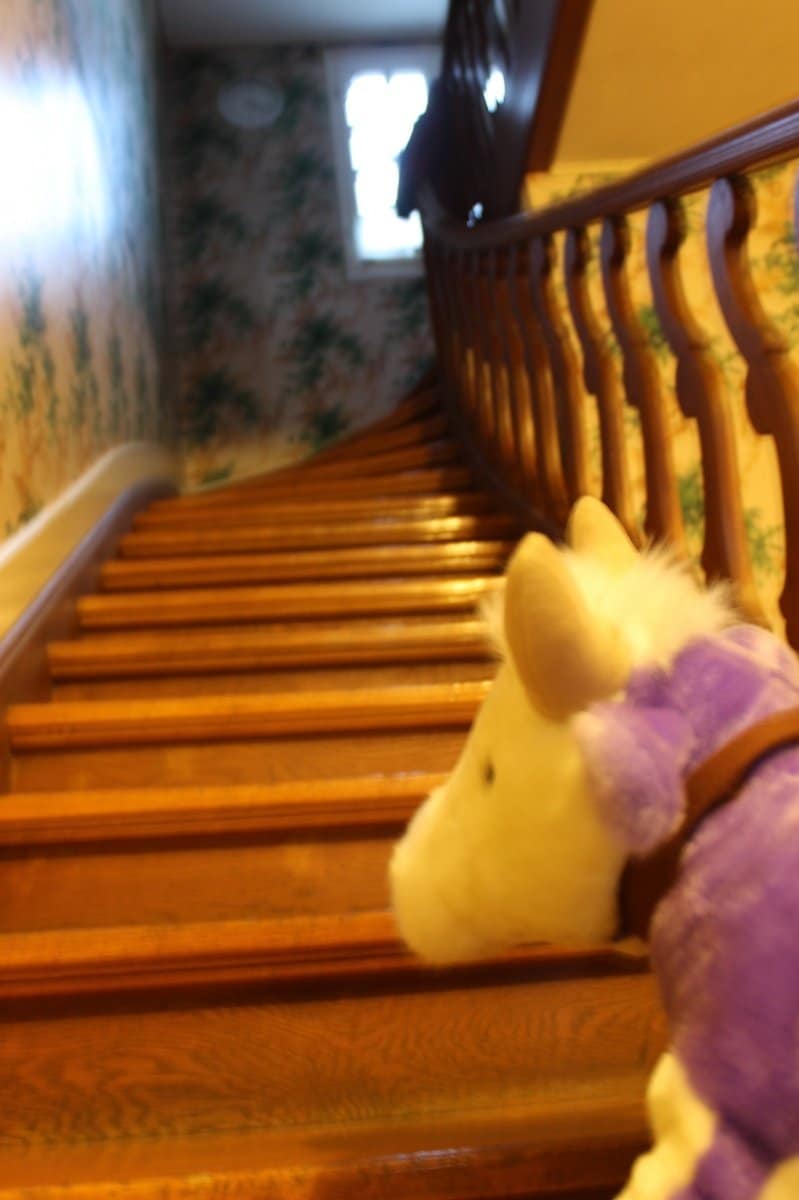 Kooperation mit MILKA: Wie dieser „Lila Liebling“ zuerst Lisa auf dem Land und dann Katharina in der Stadt besuchen durfte - Ihr könnt zehn Lieblinge gewinnen! 3 m3