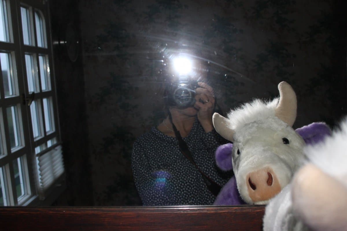 Kooperation mit MILKA: Wie dieser „Lila Liebling“ zuerst Lisa auf dem Land und dann Katharina in der Stadt besuchen durfte - Ihr könnt zehn Lieblinge gewinnen! 5 m5