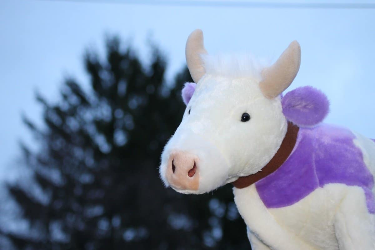 Kooperation mit MILKA: Wie dieser „Lila Liebling“ zuerst Lisa auf dem Land und dann Katharina in der Stadt besuchen durfte - Ihr könnt zehn Lieblinge gewinnen! 9 m9