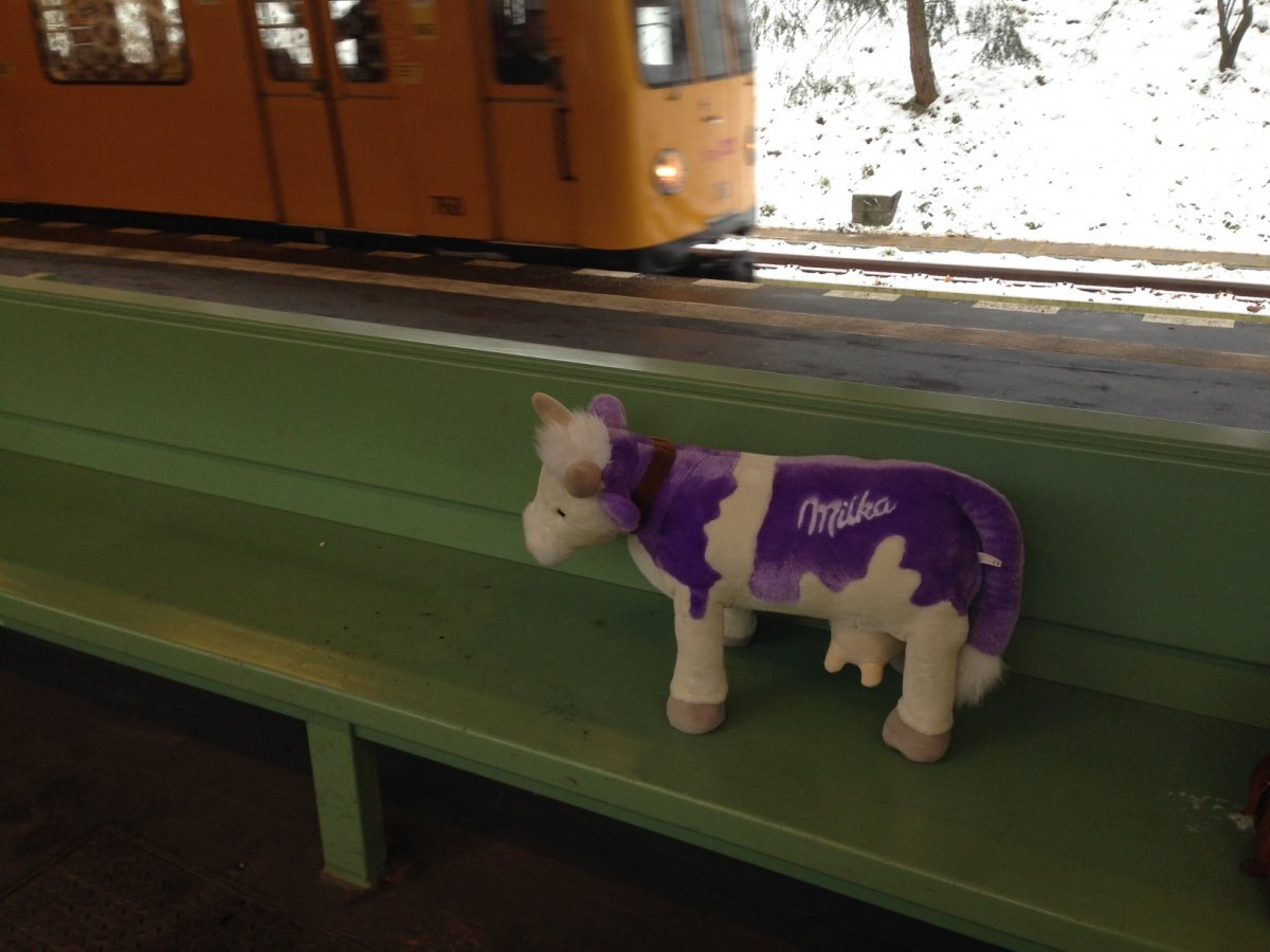 Kooperation mit MILKA: Wie dieser „Lila Liebling“ zuerst Lisa auf dem Land und dann Katharina in der Stadt besuchen durfte - Ihr könnt zehn Lieblinge gewinnen! 12 milka3