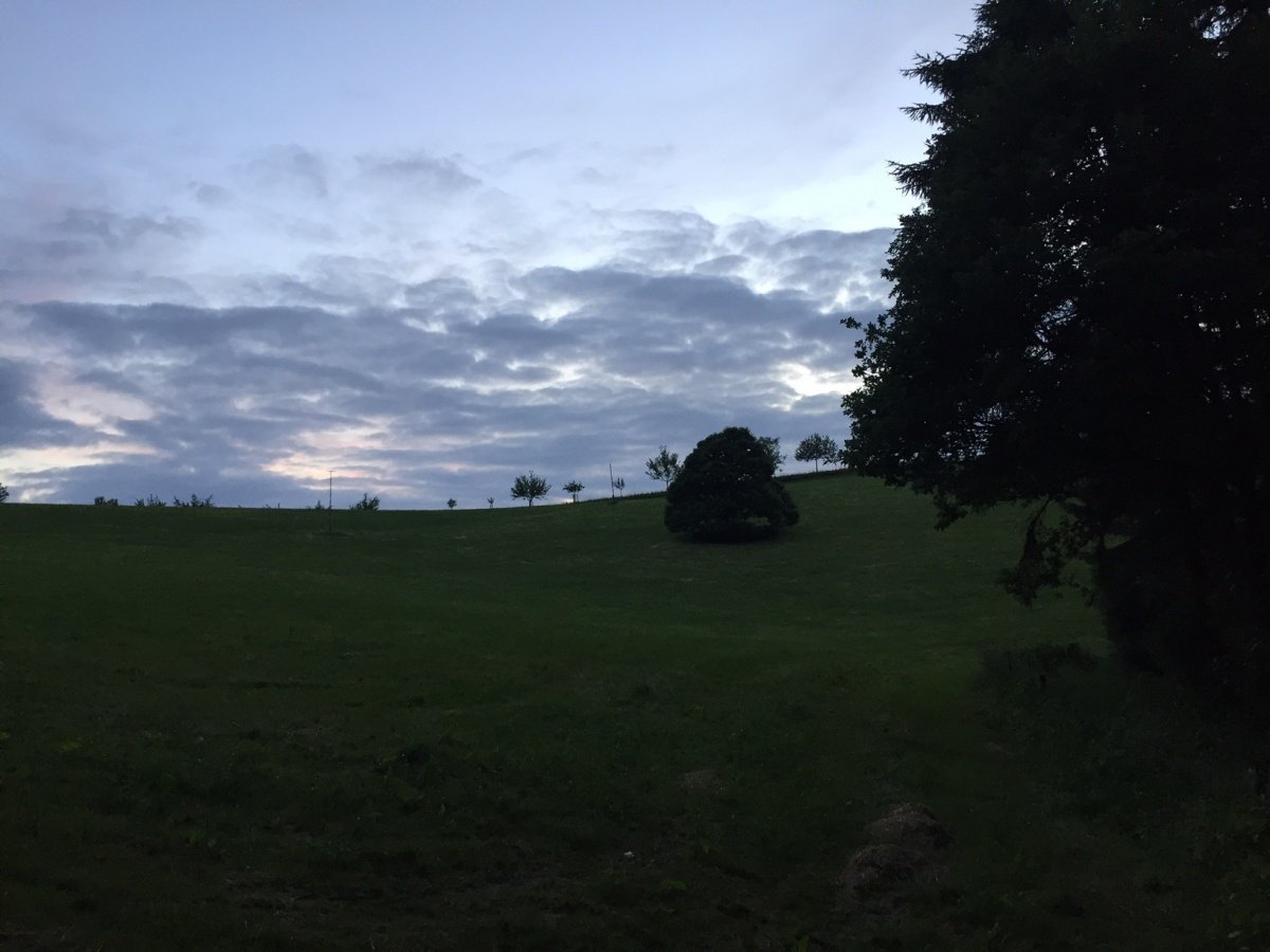 lisaabendspaziergang