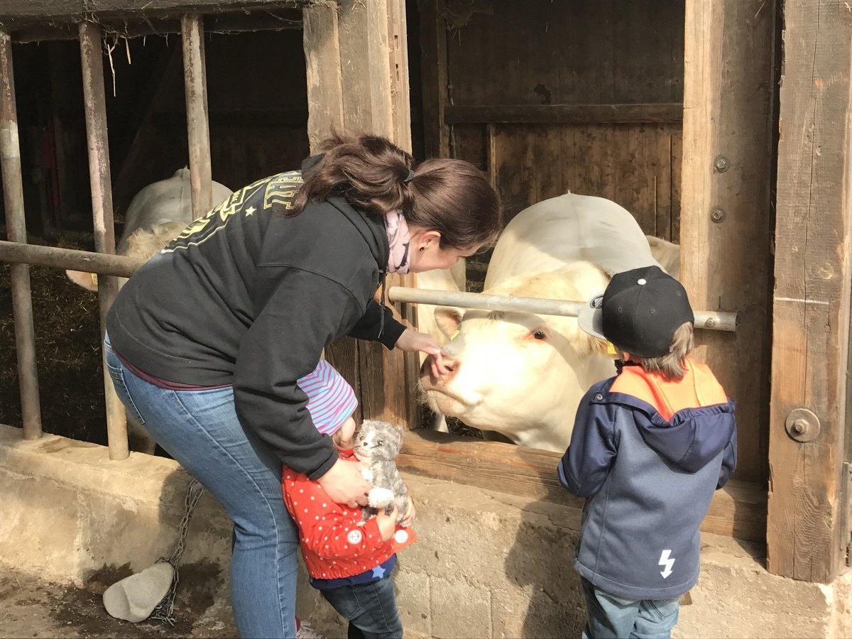 "So meistere ich mein Leben mit MS und zwei Kindern" - Gastbeitrag von Barbara 2 ms1