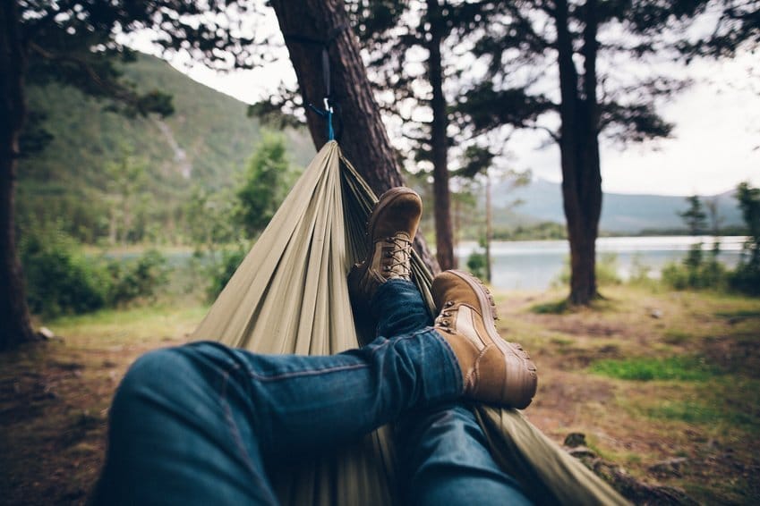 Gesundheits-Trend aus Japan: So funktioniert "Waldbaden" - Expertin Ines erzählt 2 wald2