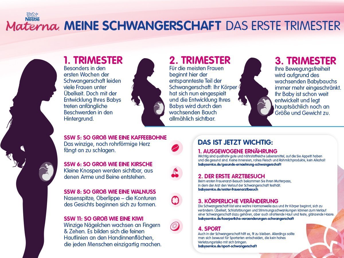 Rückblick auf die Zeit nach dem Schwangerschaftstest - was für eine Aufregung! 3 babyswerive