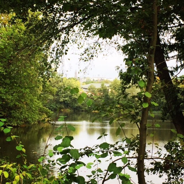 Von der Überforderung: Wenn Eltern sich fragen, ob sie eigentlich alles falsch machen 2 spaziergang mit kindern