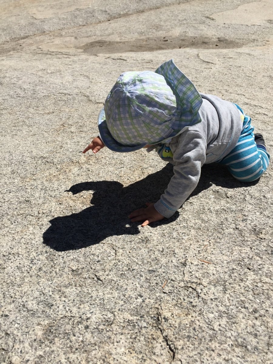 ein kind tot eins lebendig