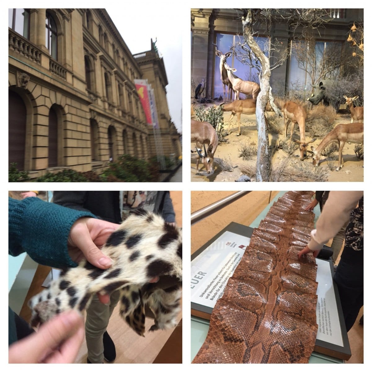 Ein Museums-Wochenende mit Kindern – kann das funktionieren? 6 museum koenig mit kindern