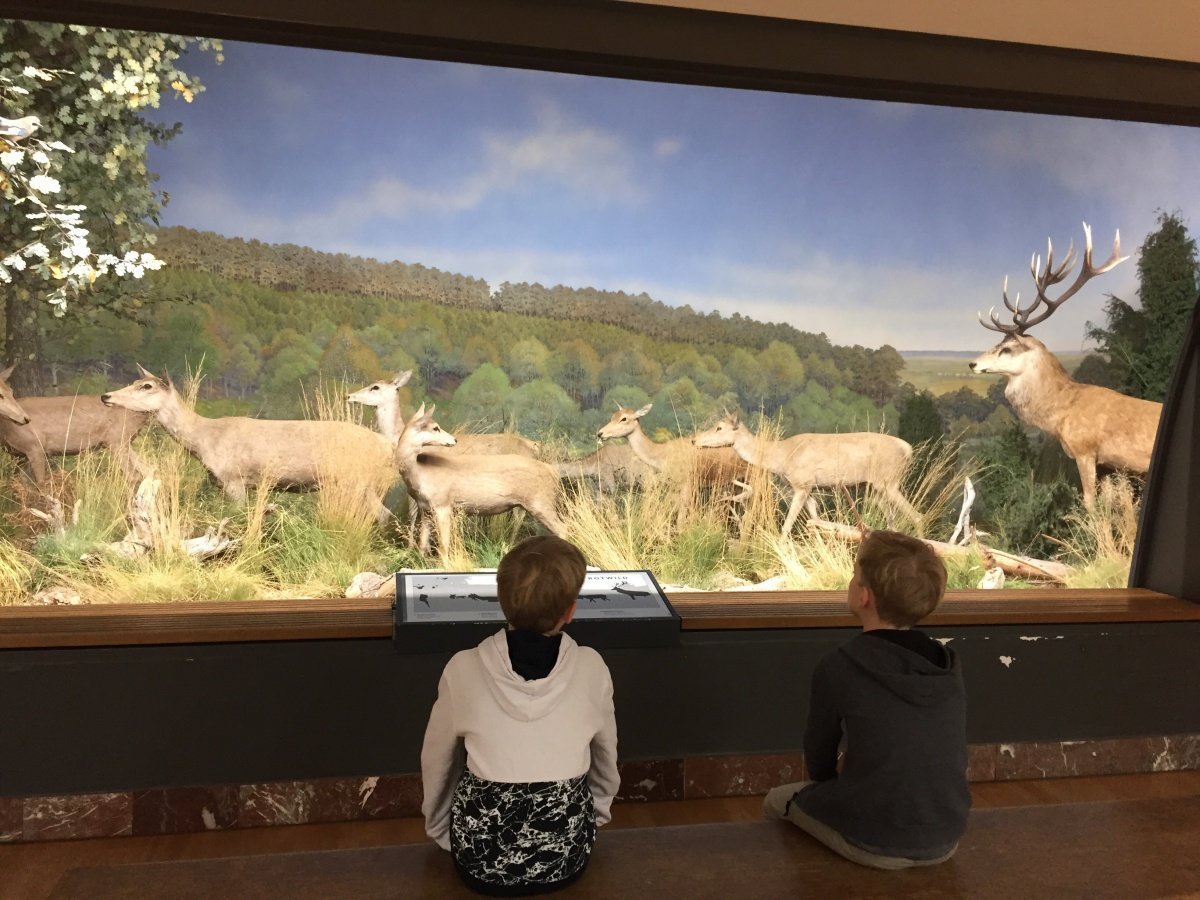 Ein Museums-Wochenende mit Kindern – kann das funktionieren? 10 museumkoenig kinder