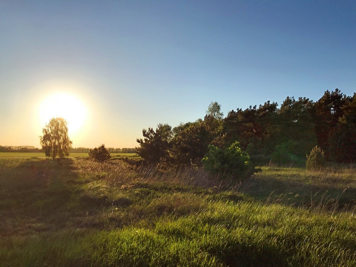 elternzeit schloss 1