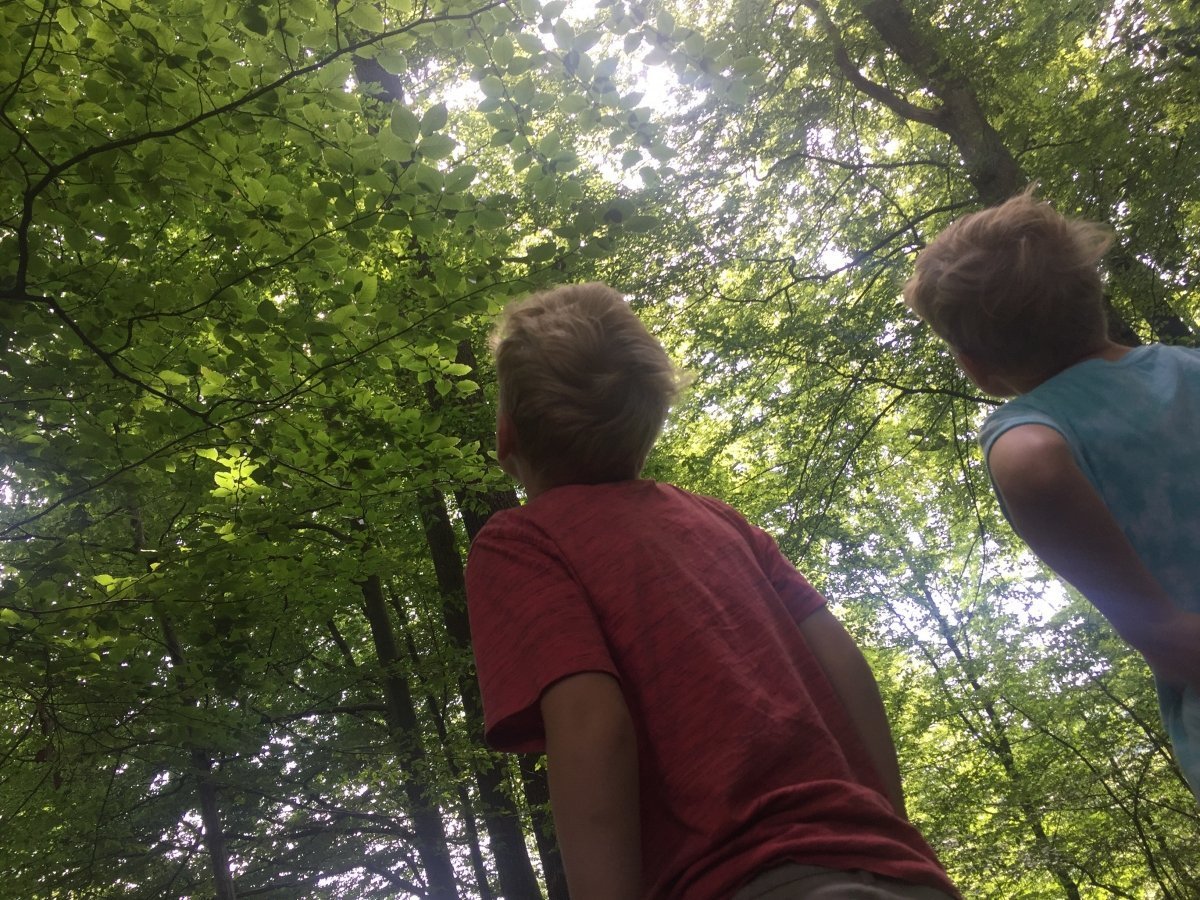Ein Ausflug in den Wald! So baut ihr einen eigenen Barfuß-Parcours oder ein Wind- und Wasserrad aus FruchtZwerge BIO-Bechern 3 fruchtzwergebaumwipfel