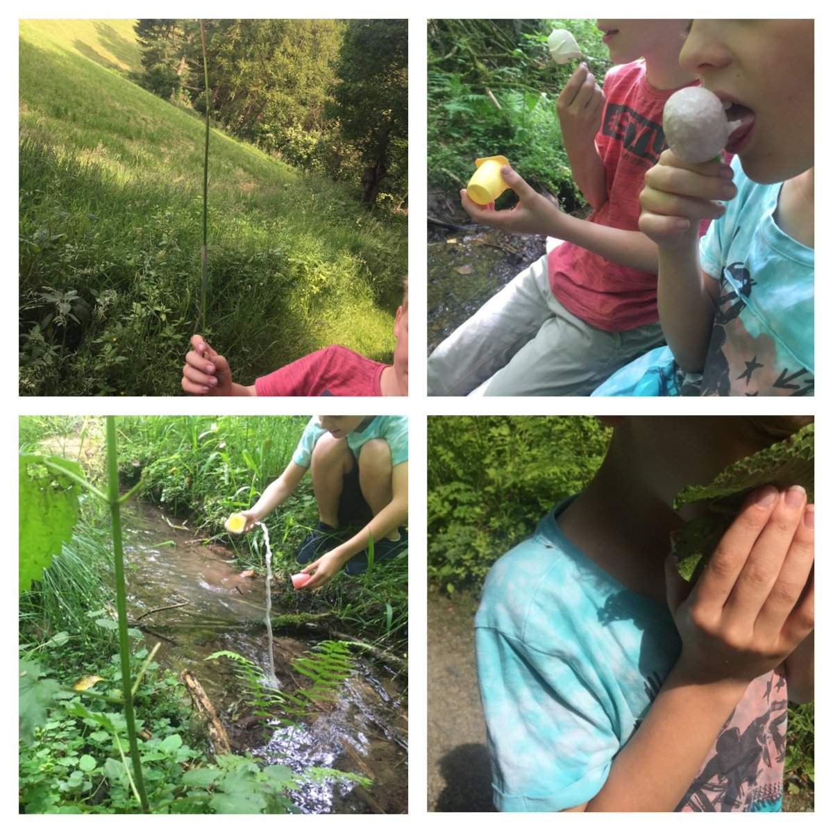Ein Ausflug in den Wald! So baut ihr einen eigenen Barfuß-Parcours oder ein Wind- und Wasserrad aus FruchtZwerge BIO-Bechern 4 fruchtzwergeunterwegs