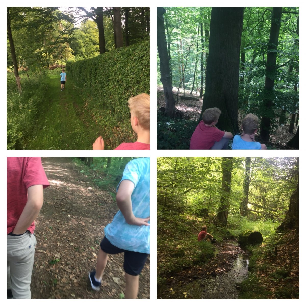 Ein Ausflug in den Wald! So baut ihr einen eigenen Barfuß-Parcours oder ein Wind- und Wasserrad aus FruchtZwerge BIO-Bechern 2 fruchtzwergewandern