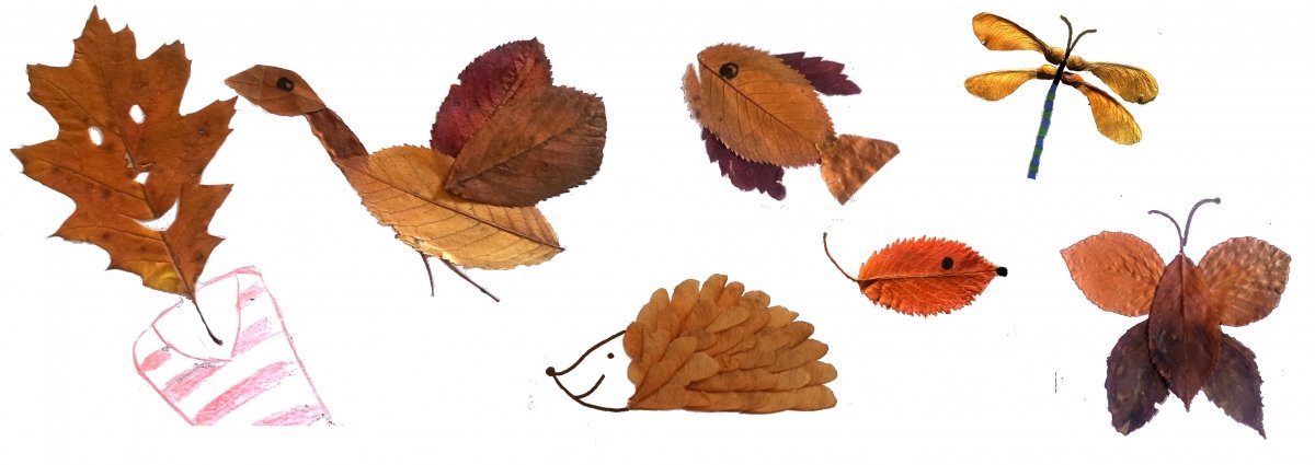 Ab in den Wald: Fünf Ideen zum Bauen, Basteln und Spielen mit Kindern im Herbst 4 wald tiere herbstlaub