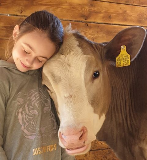 Meine Freundin, die Kuh - von einer ganz besonderen Tierliebe 5 Kuh5