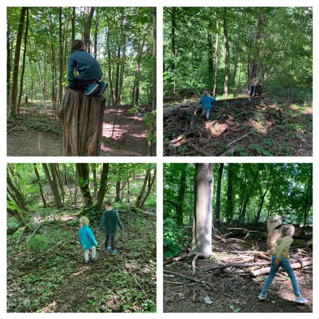 Raus, raus, raus! Wie die Natur uns in den letzten Wochen gerettet hat 3 Woom2