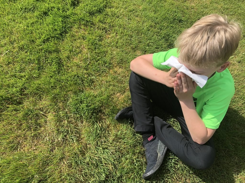 Von Wachteleiern und grünen Wiesen: Wie wir als Familie gut durch die Allergie-Zeit kommen 2 Emsan10