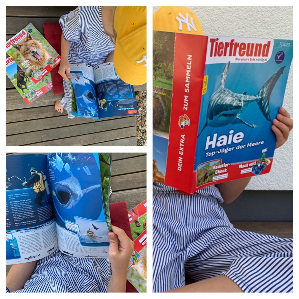 So macht Lesen Spaß - diese Zeitschriften sind ein tolles Geschenk für den Schulstart 4 Sailer6