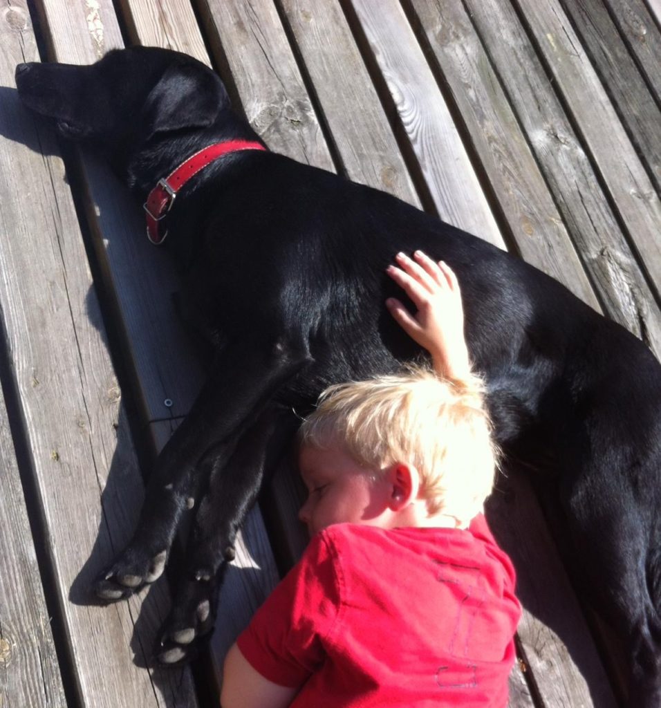 12 Jahre Zwillinge: Der Wahnsinn auf vier Beinen 7 12Geb8