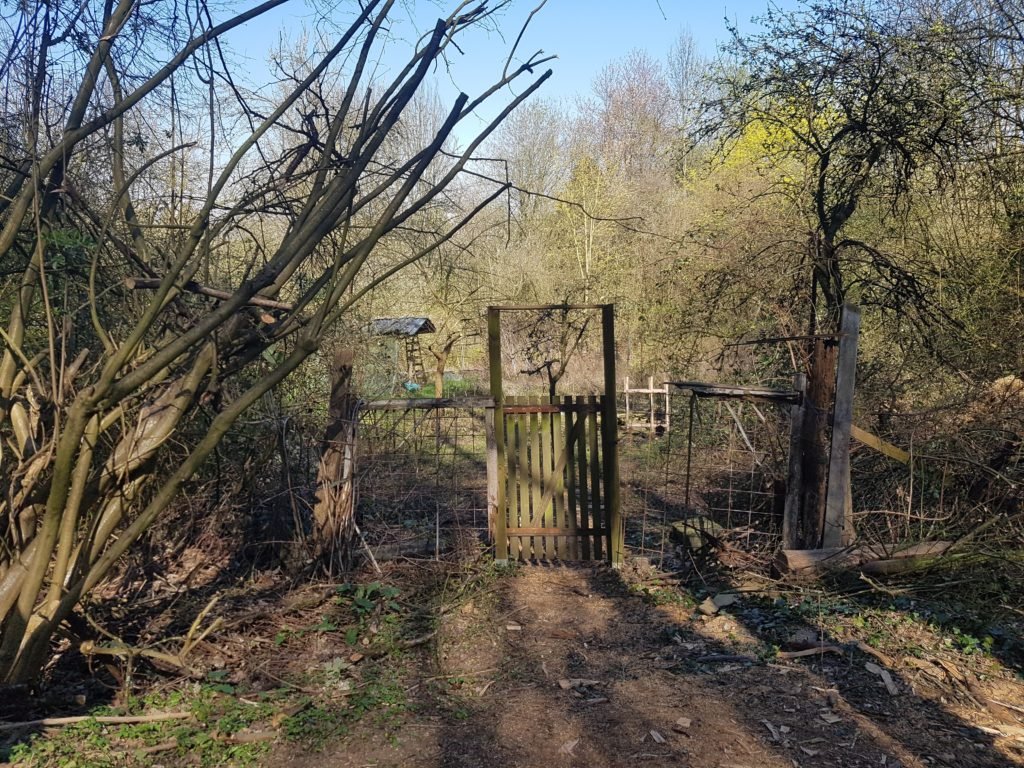 „Der Mönkel und der geheimnisvolle Turm“ 3 Moenkel4