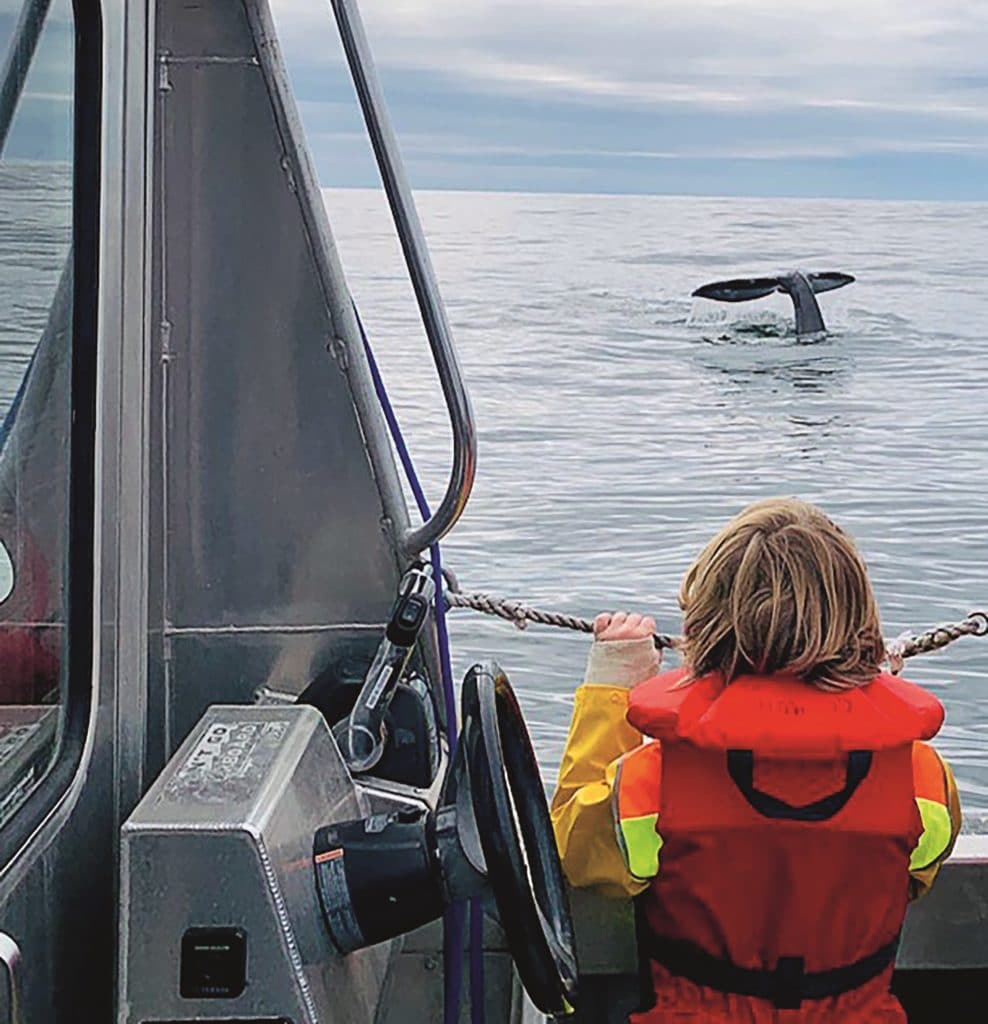 Raus aus dem Hamsterrad: Von unserer Weltreise mit Kindern 4 Dyrchs41 Tofino28