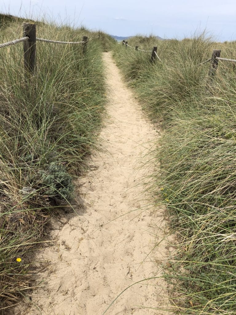 Manchmal gar nicht so leicht, Kinder ihren eigenen Weg gehen zu lassen 2 zukunft