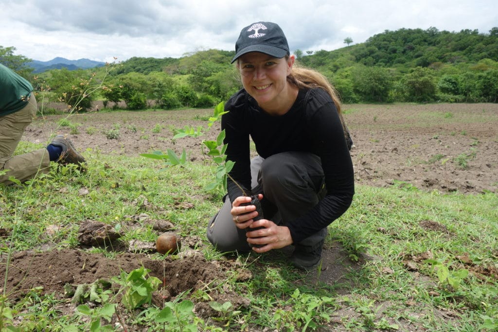 Reisen in Zeiten des Klimawandels: Hier könnt ihr eure Emissionen ausgleichen 2 Klima1