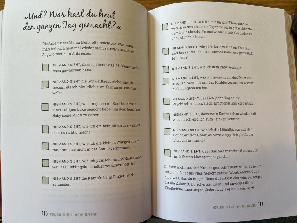 Mütterstreik: Was, wenn wir die Familienarbeit niederlegen? 2 IMG 4130