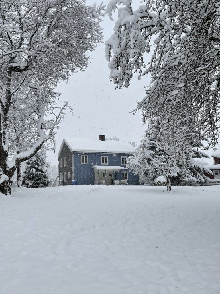 Auswandern nach Schweden: "Beste Entscheidung unseres Lebens" 3 Auswandern nach Schweden