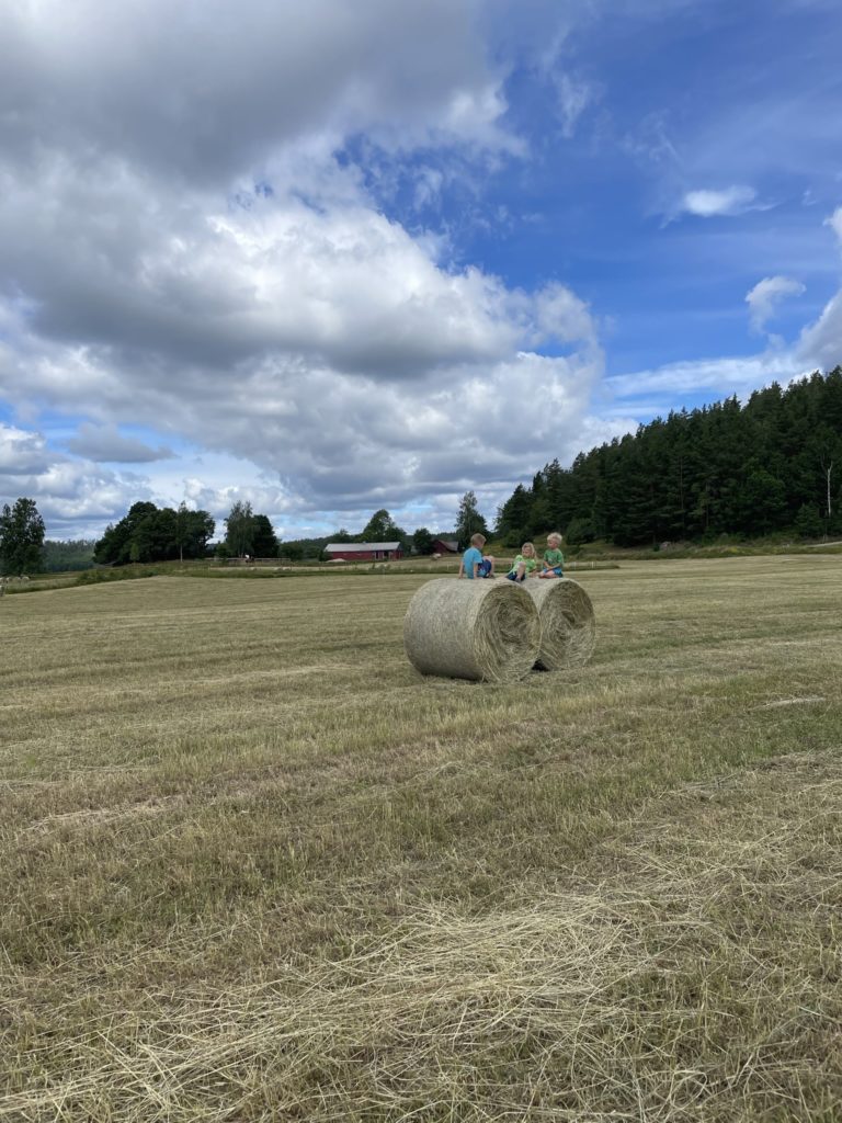 Auswandern nach Schweden: "Beste Entscheidung unseres Lebens" 4 Auswandern nach Schweden