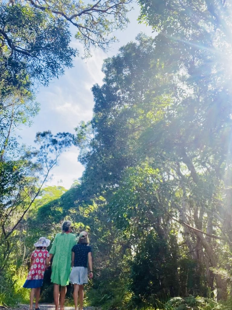 Auslandsaufenthalt in Australien, Teil 3: Alltag im Paradies 4 Auslandsaufenthalt in Australien