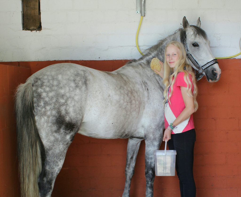 Initiative mit 14: Junge Reiterin gründet Plattform für Nachhaltigkeit im Pferdesport 5 Unternehmerin mit 14