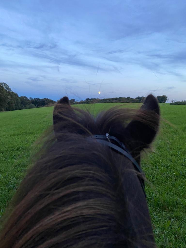 Wie füllt Mama die Lücke? Jugend-Kolumne "Teen-Time" 2 Wie füllt Mama die Lücke