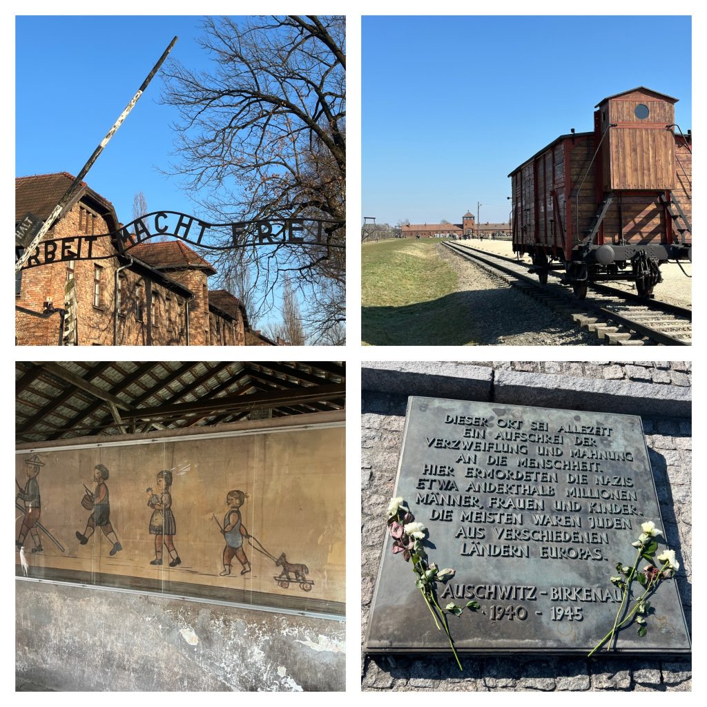 Sturmfrei für die „Kleinen“, Bildungstrip für die Große – Teen-Time Jugendkolumne 5 IMG 5070