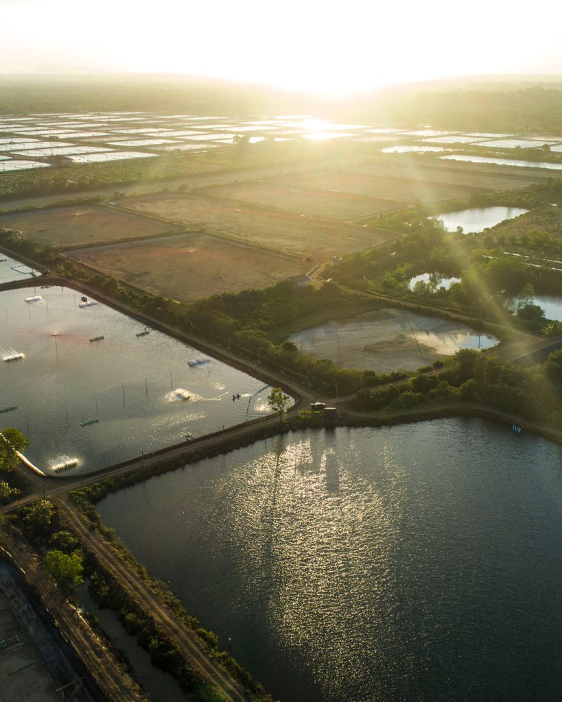 "Ich liebe Garnelen": Wieso ich beim Kauf auf das ASC-Siegel achte 2 Shr