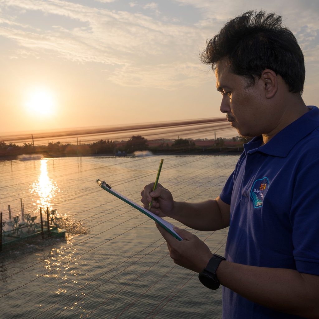 "Ich liebe Garnelen": Wieso ich beim Kauf auf das ASC-Siegel achte 3 Garnelen