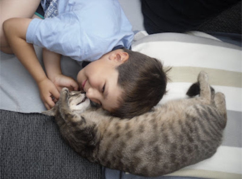 Screenshot 20240509 141410