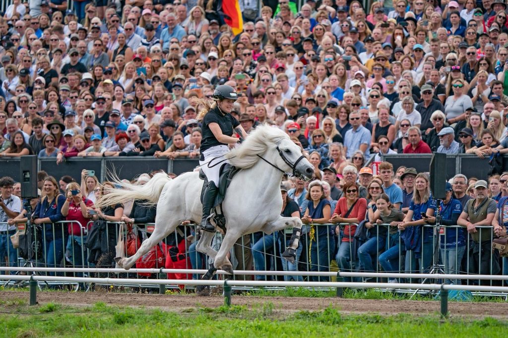 f972bc1d 89ce 48e1 8224 2c584d2c3d28