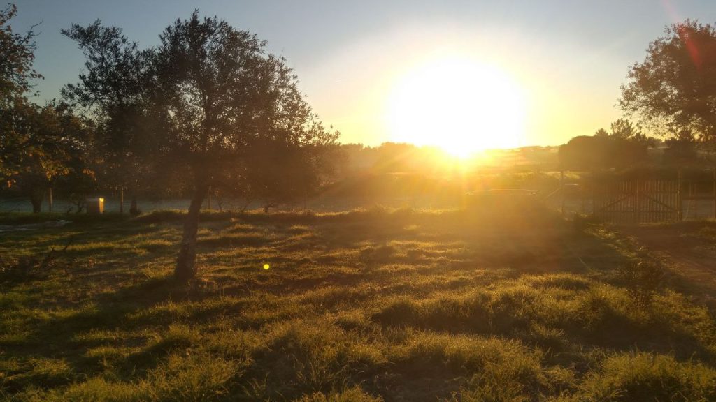 Sonnenuntergang Grundstueck